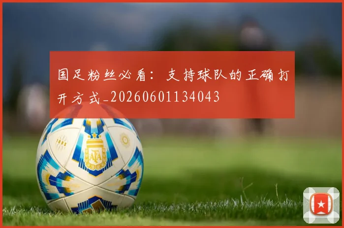 国足粉丝必看:支持球队的正确打开方式_20260601134043
