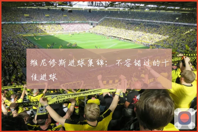 维尼修斯进球集锦：不容错过的十佳进球